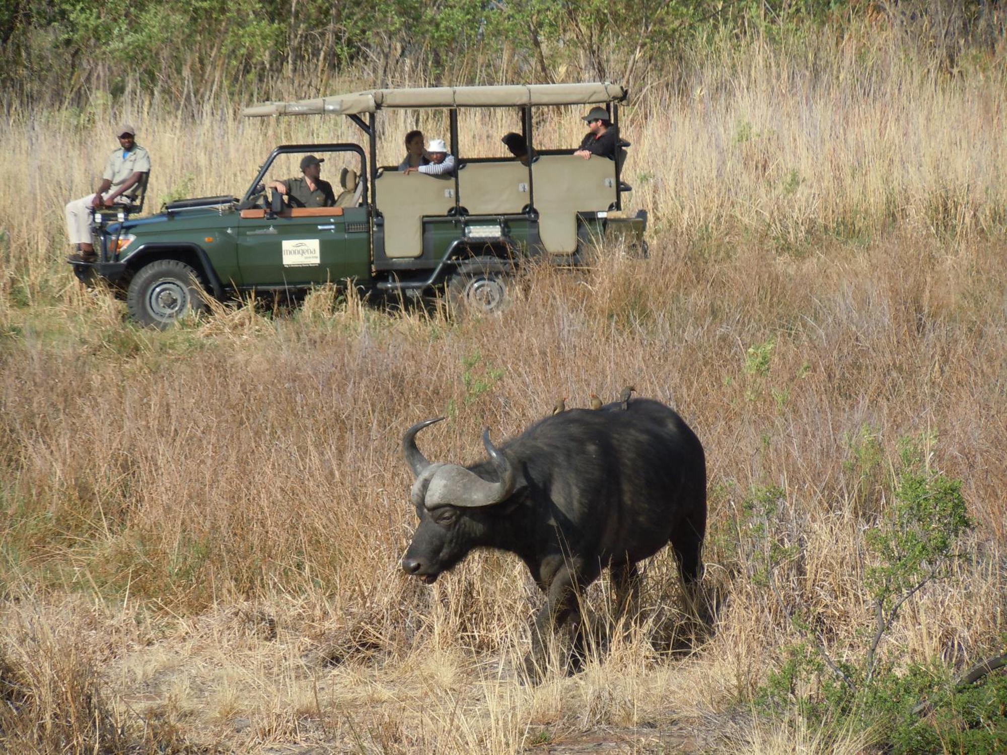Little Mongena Tented Camp Klipdrift Buitenkant foto